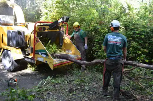 tree services Portal